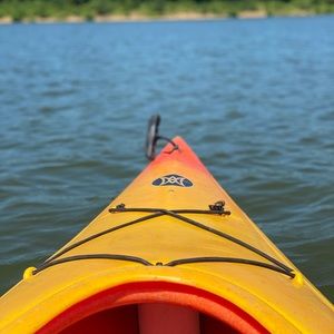 Meet your Posher, Lacey